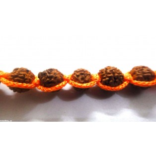 Rudraksha Beads Bracelet Wristband Wristlet-Prayer Meditation Yoga Orange Strap