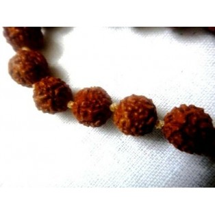 10 mm Knotted Rudraksha Hindu Beads Seeds 27+1 Mala Necklace Rosary Prayer Yoga